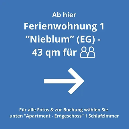 Wieben Böhl